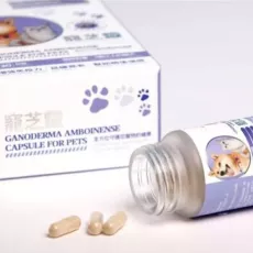 騰泰堂 - 寵芝靈 鹿角靈芝膠囊 30粒裝