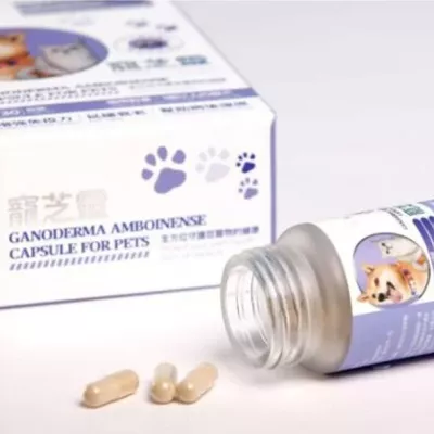 騰泰堂 - 寵芝靈 鹿角靈芝膠囊 30粒裝